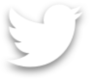 white twitter bird logo